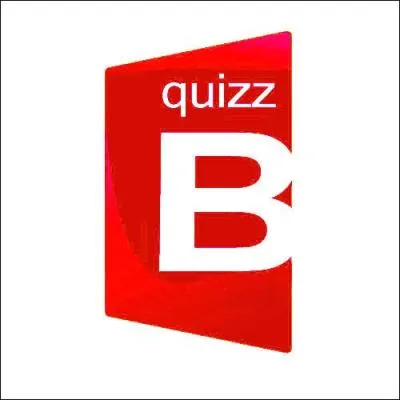 A quelle vritable enseigne appartient ce logo ?