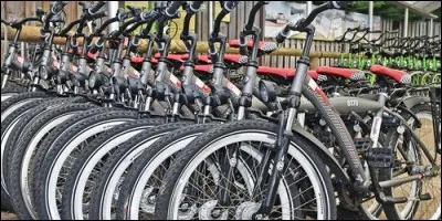 Dans quel pays la bicyclette est-elle le moyen de transport le plus utilisé ?