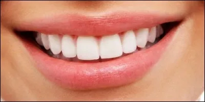 Quelles sont les dents qui poussent à l'âge adulte ?