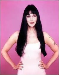 C'est Sony qui lui fit chanter : I got you babe !