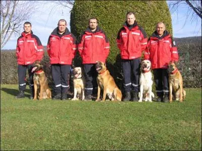 Quel est le nom de cette... quipe ?