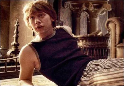 Avec qui sort Ron Weasley dans le prince de Sang Ml ?