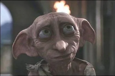 Qu'est-ce qu'Harry donne  Dobby pour le librer de ses maitres ?