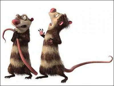 Comment s'appellent les deux opossums ?