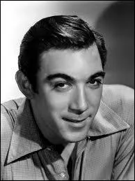 Les Canons de Navarone ... .