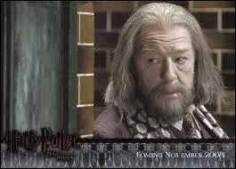 Qu'enseignait le professeur Dumbledore