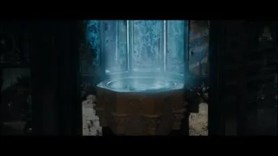 Qui a tmoign de cette histoire devant le professeur Dumbledore pour qu'il puisse mettre ce souvenir dans sa pensine ?