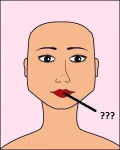 Comment dit-on 'bouche' ?