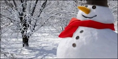 Quelle neige est la meilleure pour faire un bonhomme de neige ?