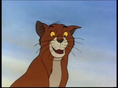 Chat de gouttire mais raffin ...