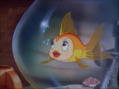 Le poisson dans le bocal chez Gepetto ...