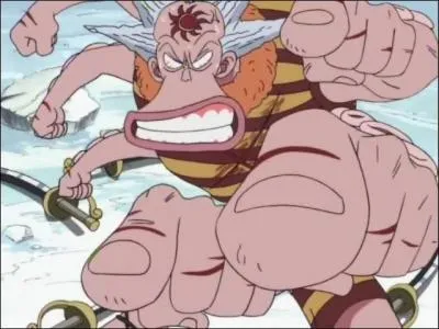 Quels sont les noms des trois lieutenants d'Arlong ?