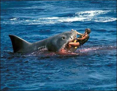 Dans quel film voit-on un requin blanc tuer ?