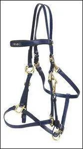 Comment s'appelle la chose que l'on met sur la tte du cheval lorsqu'on le monte ?