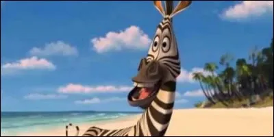 Ce zèbre se prénomme :