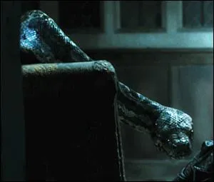 Quel sort Harry utilise-t-il sur Nagini lorsqu'il fait semblant d'tre mort ?