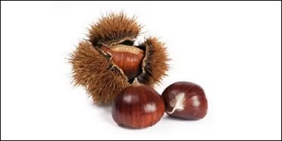 Lequel de ces fruits a une bogue ?