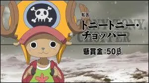 Quel est le nom du Fruit du Dmon de Tony Tony Chopper ?