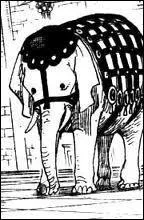 Quel est le nom du Fruit du Dmon de Frankfood ?