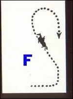 Quel est le nom de cette figure ?