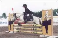 Quel est le nom de cet obstacle ?