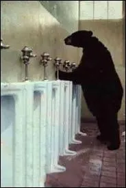 Quel est cet animal ?