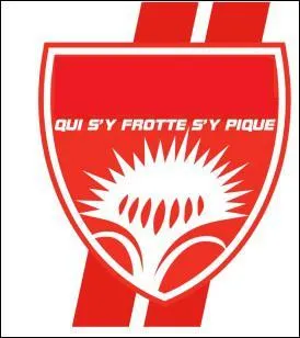 A quel club appartient cet cusson ?