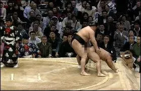 Ces deux grands lutteurs sont ...