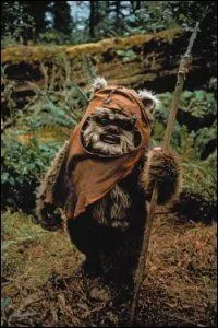 Quel est le nom de cet Ewok ?