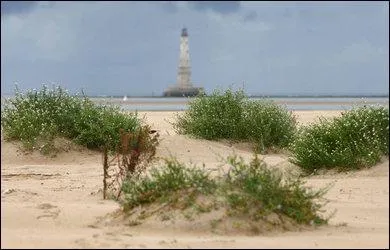 On l'appelle 'l'le sans nom'. C'est un banc de sable observ pour la premire fois en 2009, non loin du phare de Cordouan. Elle culmine  4 mtres et se trouve :
