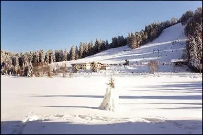 Le point culminant de la commune de La Bresse est le Hohneck (1363m). La ville abrite le plus grand domaine skiable de sa rgion. La Bresse est situe ...