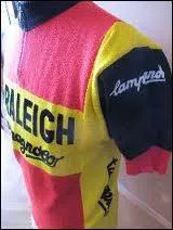 Qui dirigeait la grande quipe ' Ti Raleigh ' dans les annes 80 ?