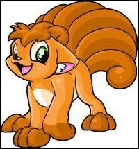 Quel est le nom de ce Pokmon ?