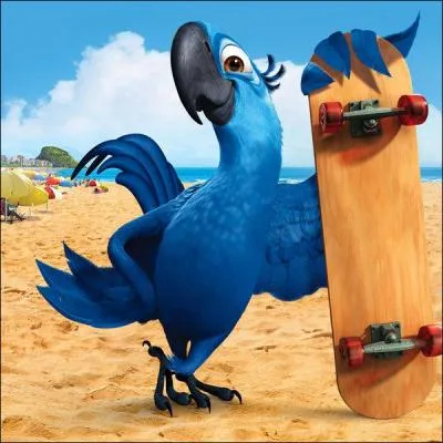 Nom de cet oiseau que l'on retrouve dans le film d'animation ' Rio' ?
