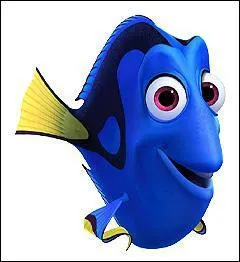 Amie de Marin, le pre du petit poisson clown Nmo.