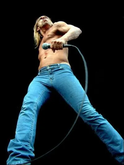 De quel groupe faisait partie Iggy Pop ?