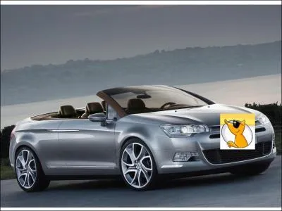 Ce cabriolet est ... .