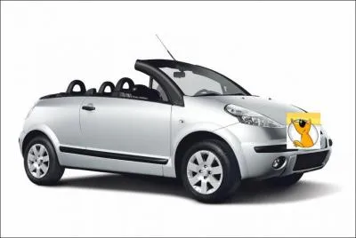 Ce cabriolet est ... .