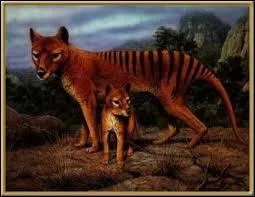 Quel est cet animal ?