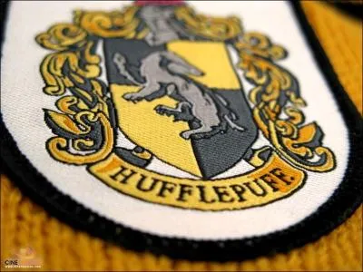 O se trouve la salle commune des Poufsouflfe ?