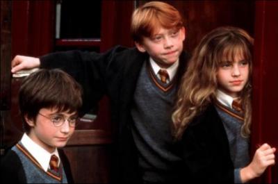 Dans 'Harry Potter  l'cole des sorciers', laquelle des ces preuves le trio n'a pas eu  faire pour trouver la pierre philosophale ?