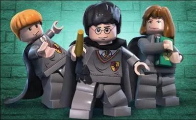 Vous les avez certainement reconnu, Harry, Ron et ...