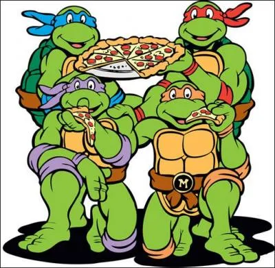 Ce sont les fameuses tortues...