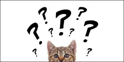 Comment s'appellent les trophées remis chaque année en France aux meilleurs programmes de télévision ?