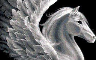 Quel est cet animal ?