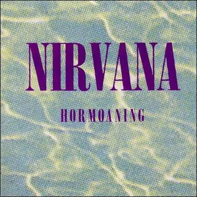 Quels sont les deux seuls pays au monde o est sortie l'album Hormoaning?