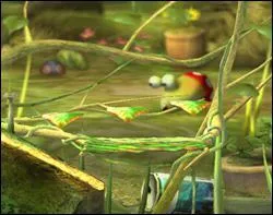 Quel est le nom de ce stage ?