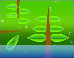 Quel est le nom de ce stage ?