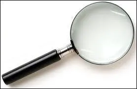 Jusqu'ici dans ce quizz, quelle est la rpartition des inspecteurs par nationalit ?