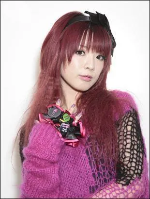 Qui est ce chanteur(se) ?